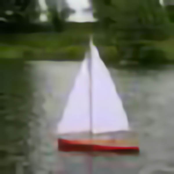 Sea Bird